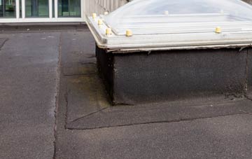 disadvantages of Gardenstown flat roofs